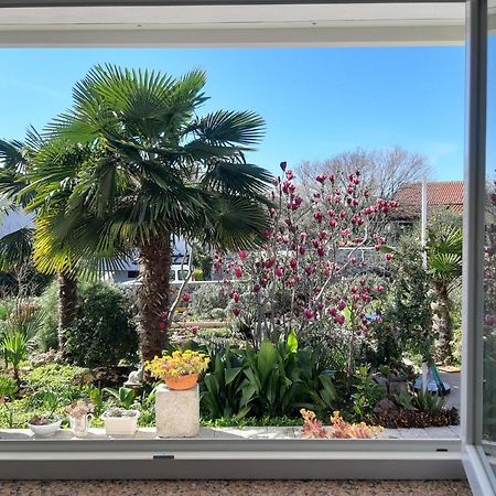 Apartments Summer Bloom คิร์ก ภายนอก รูปภาพ